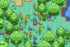 Mount Ruin search interface in Pokémon Odyssey II